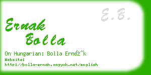 ernak bolla business card